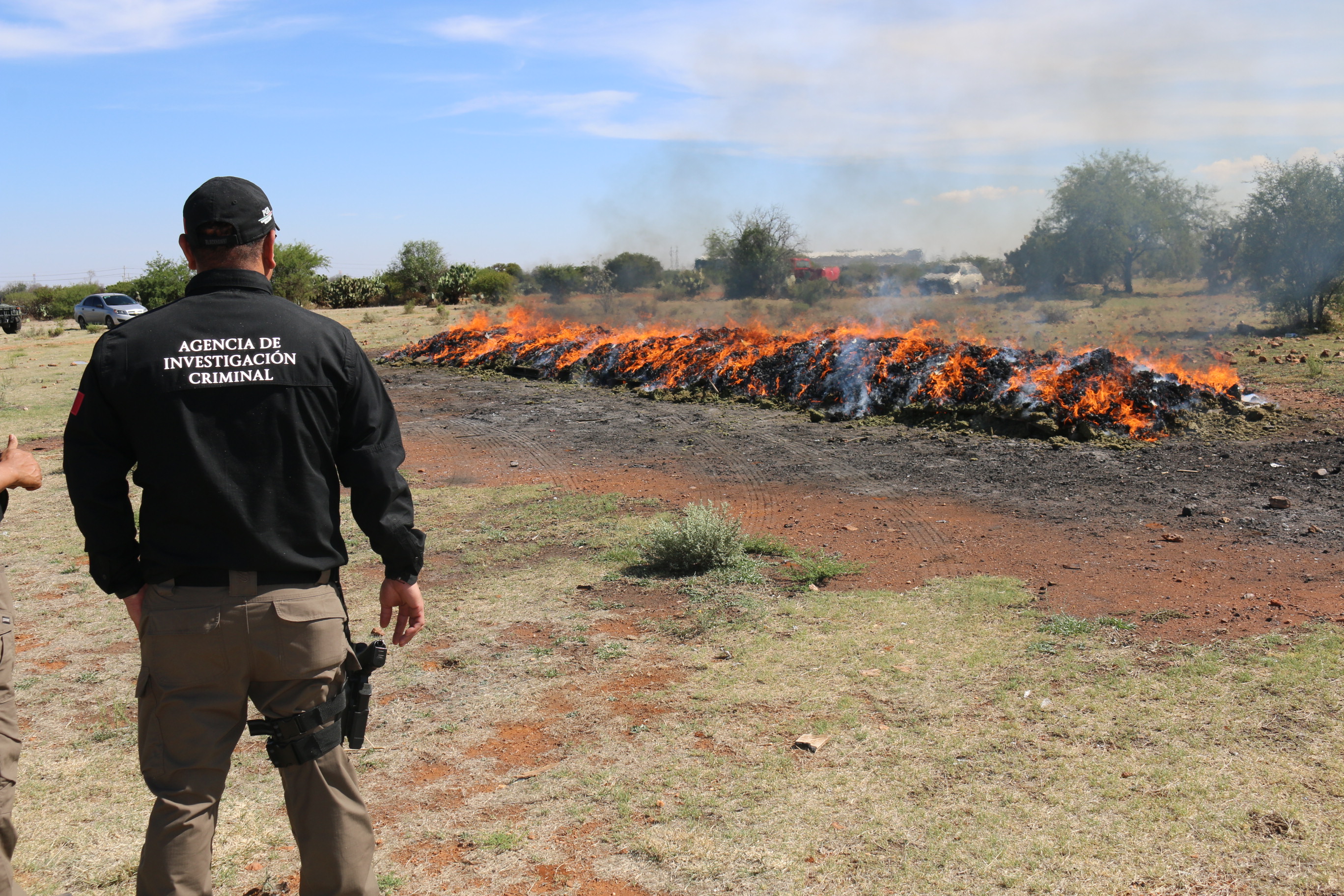 FGR incinera más de dos toneladas de narcótico en Zacatecas