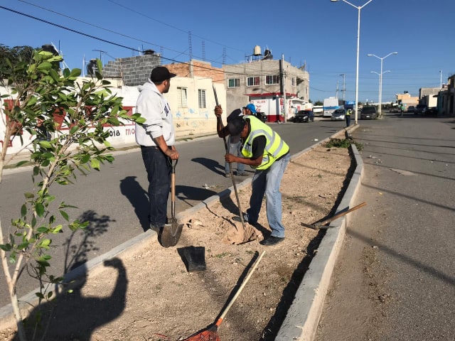 EN COLONIA BALCONES SE REALIZÓ LA 65 MEGABRIGADA DE LIMPIEZA