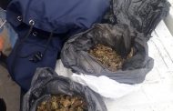 MUCHA DROGA EN FRESNILLO.