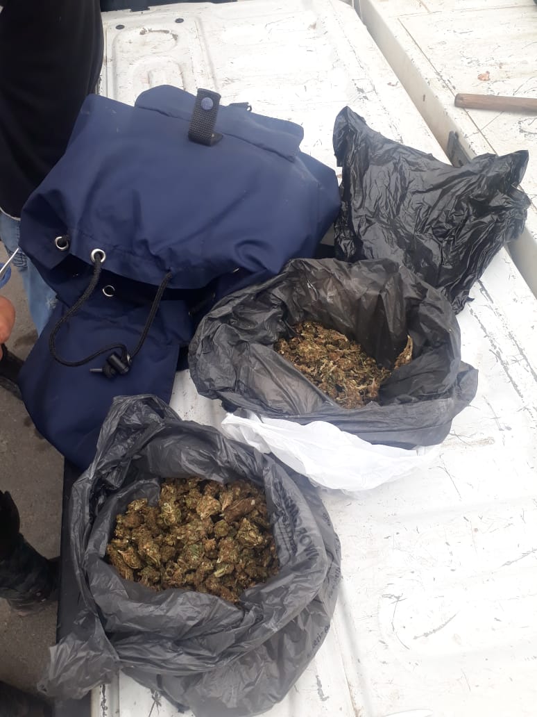 MUCHA DROGA EN FRESNILLO.