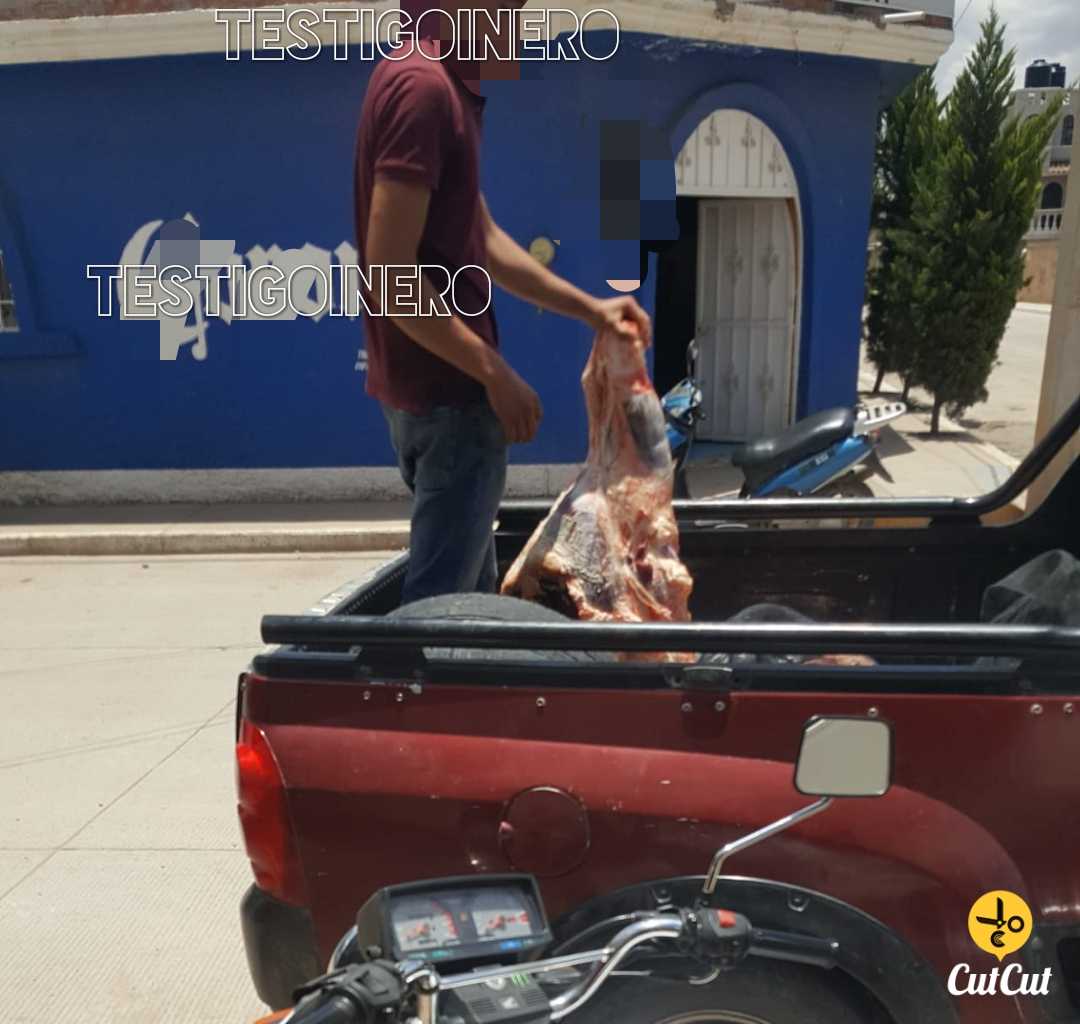 TRANSPORTAN CARNE EN CAMIONETA PARTICULAR