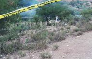 DEGOLLAN A JOVEN MUJER EN FRESNILLO