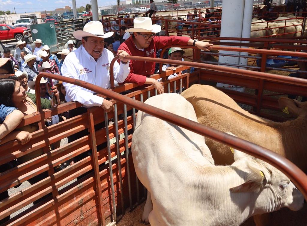 SAÚL MONREAL AVILA DIO EL SOMBRERAZO DE SALIDA A  420 NOVILLOS Y 200 SEMENTALES DEL PROGRAMA: CRÉDITO GANADERO A LA PALABRA