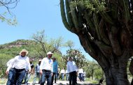 ABRE SUS PUERTAS AL PÚBLICO EL CENTRO ARQUEOLÓGICO “CERRO DE LAS VENTANAS”