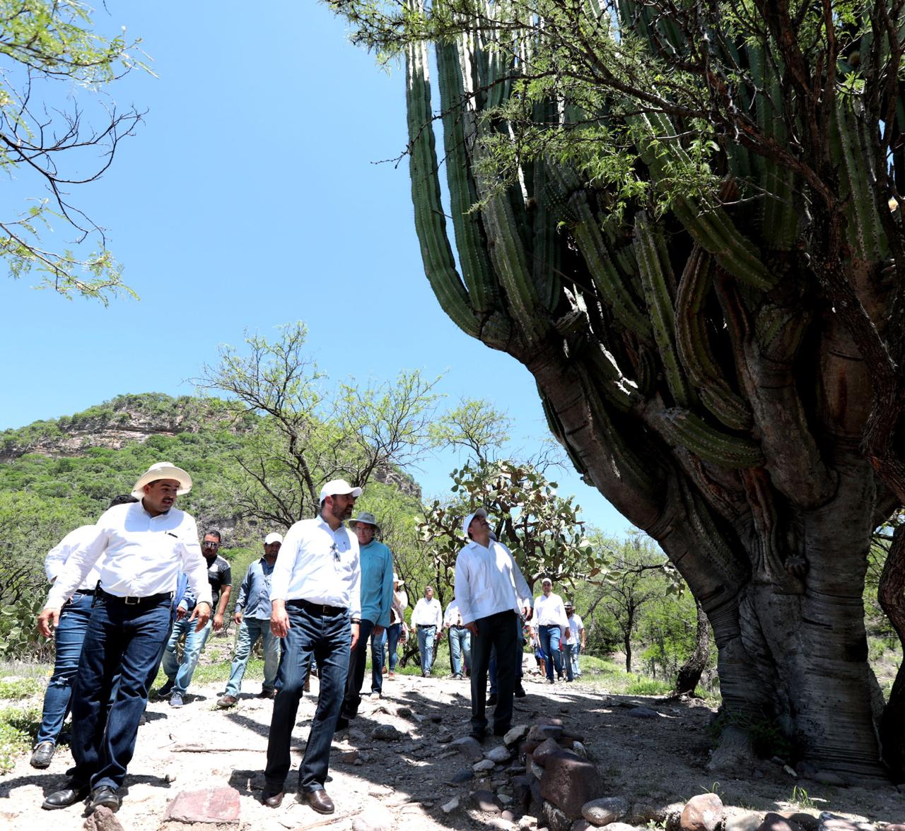 ABRE SUS PUERTAS AL PÚBLICO EL CENTRO ARQUEOLÓGICO “CERRO DE LAS VENTANAS”