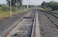 SE MATA MIGRANTE AL CAER DEL TREN EN EL QUE VIAJABAN DE, 