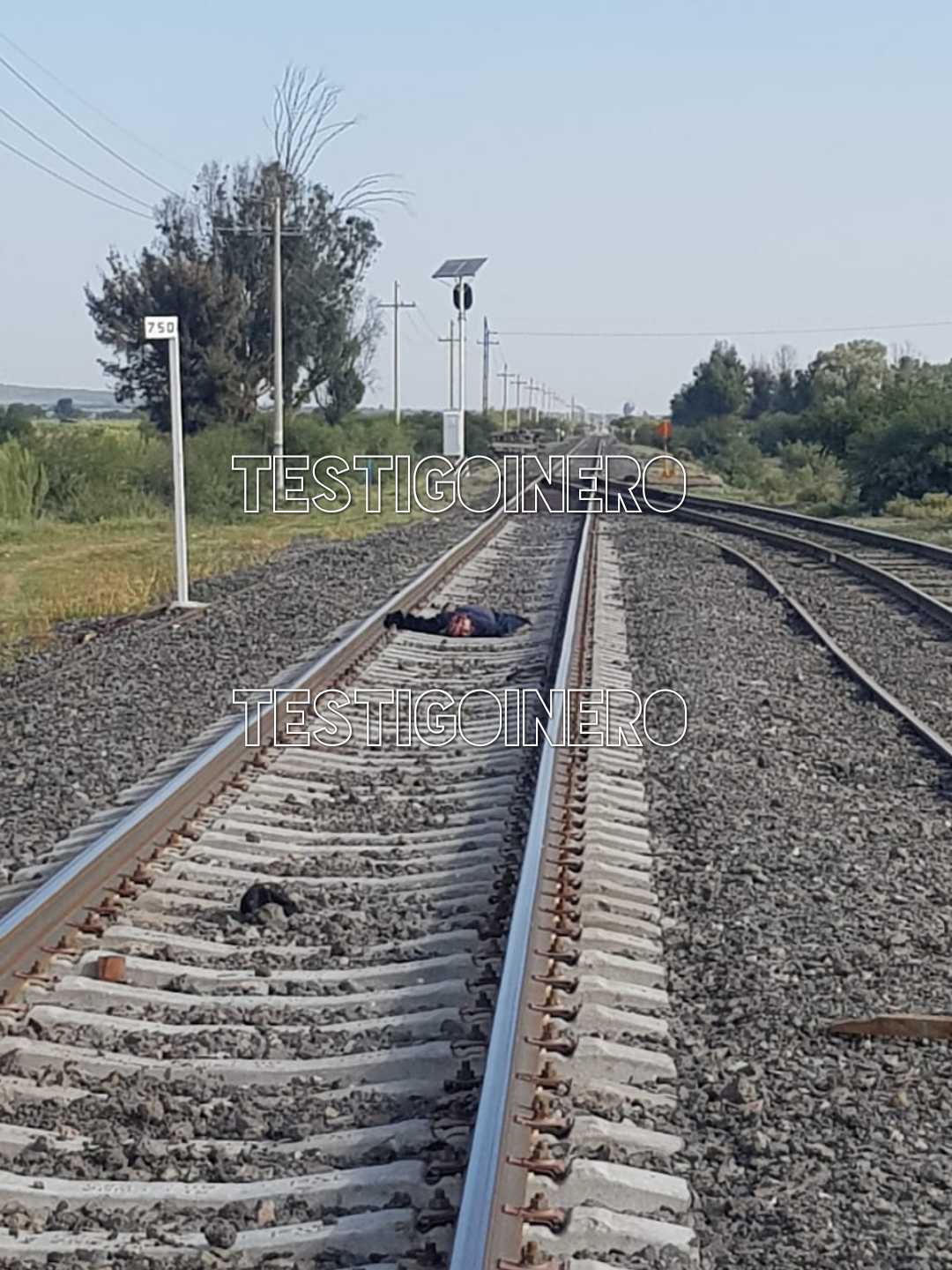 SE MATA MIGRANTE AL CAER DEL TREN EN EL QUE VIAJABAN DE, 