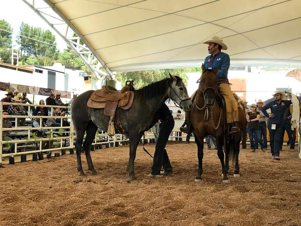 CLÍNICA DE CÓMO HERRAR UN CABALLO.