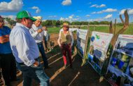 INSTALA GOBIERNO ESTATAL MÓDULOS PARA MAXIMIZAR APROVECHAMIENTO DE SUELO Y AGUA EN LA PRODUCCIÓN DE FORRAJES Y HORTALIZAS