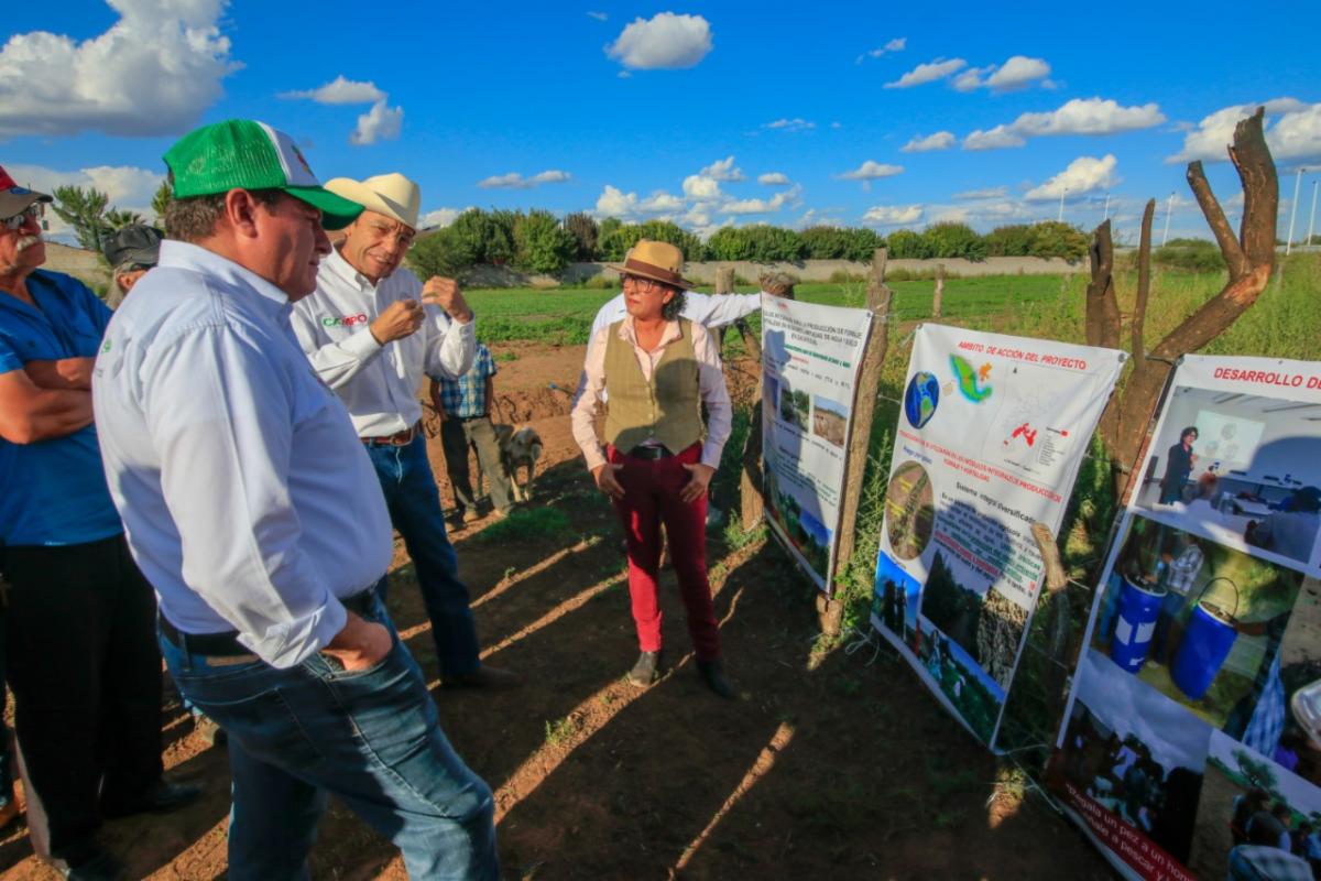 INSTALA GOBIERNO ESTATAL MÓDULOS PARA MAXIMIZAR APROVECHAMIENTO DE SUELO Y AGUA EN LA PRODUCCIÓN DE FORRAJES Y HORTALIZAS