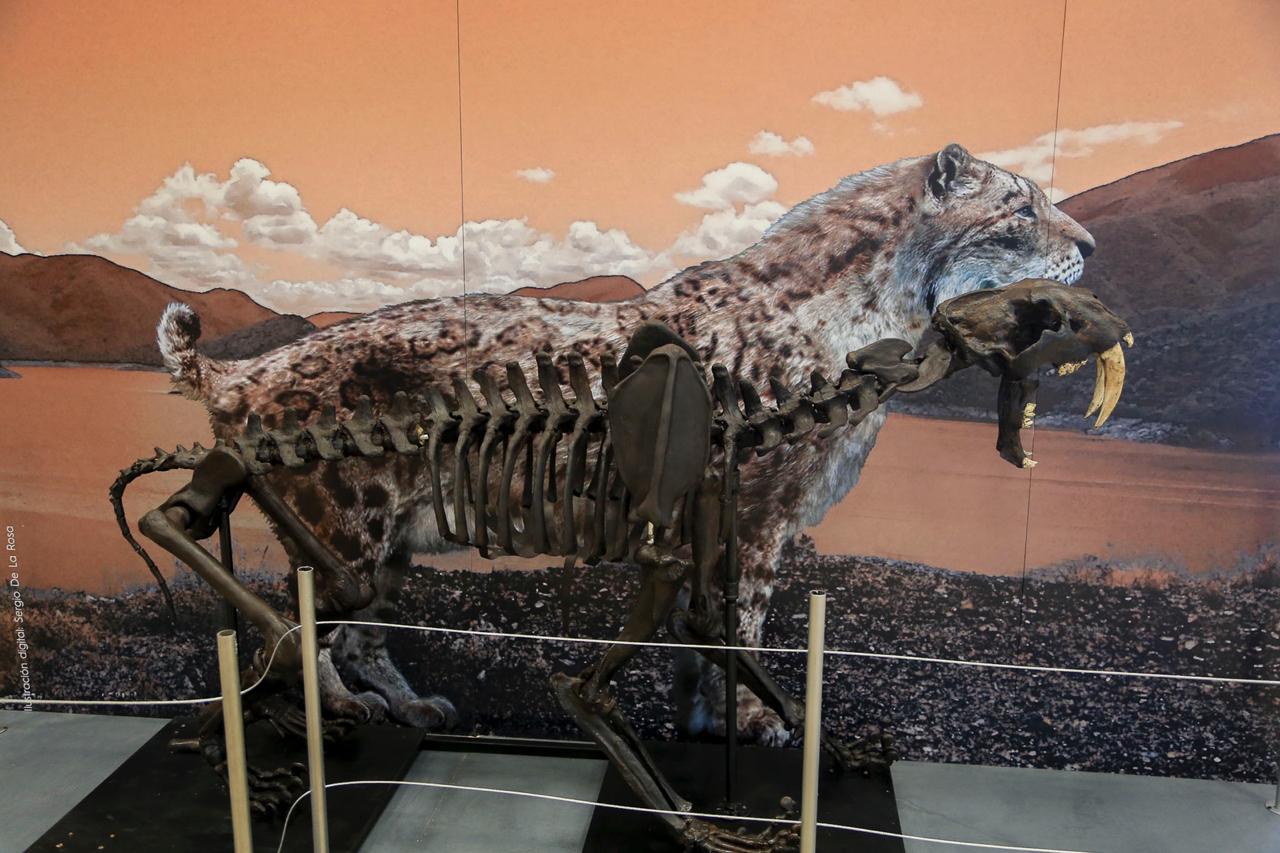 SE ESTRENARÁ EN ZACATECAS LA EXPO MEGABESTIAS DEL PASADO, ÚNICA EN EL MUNDO