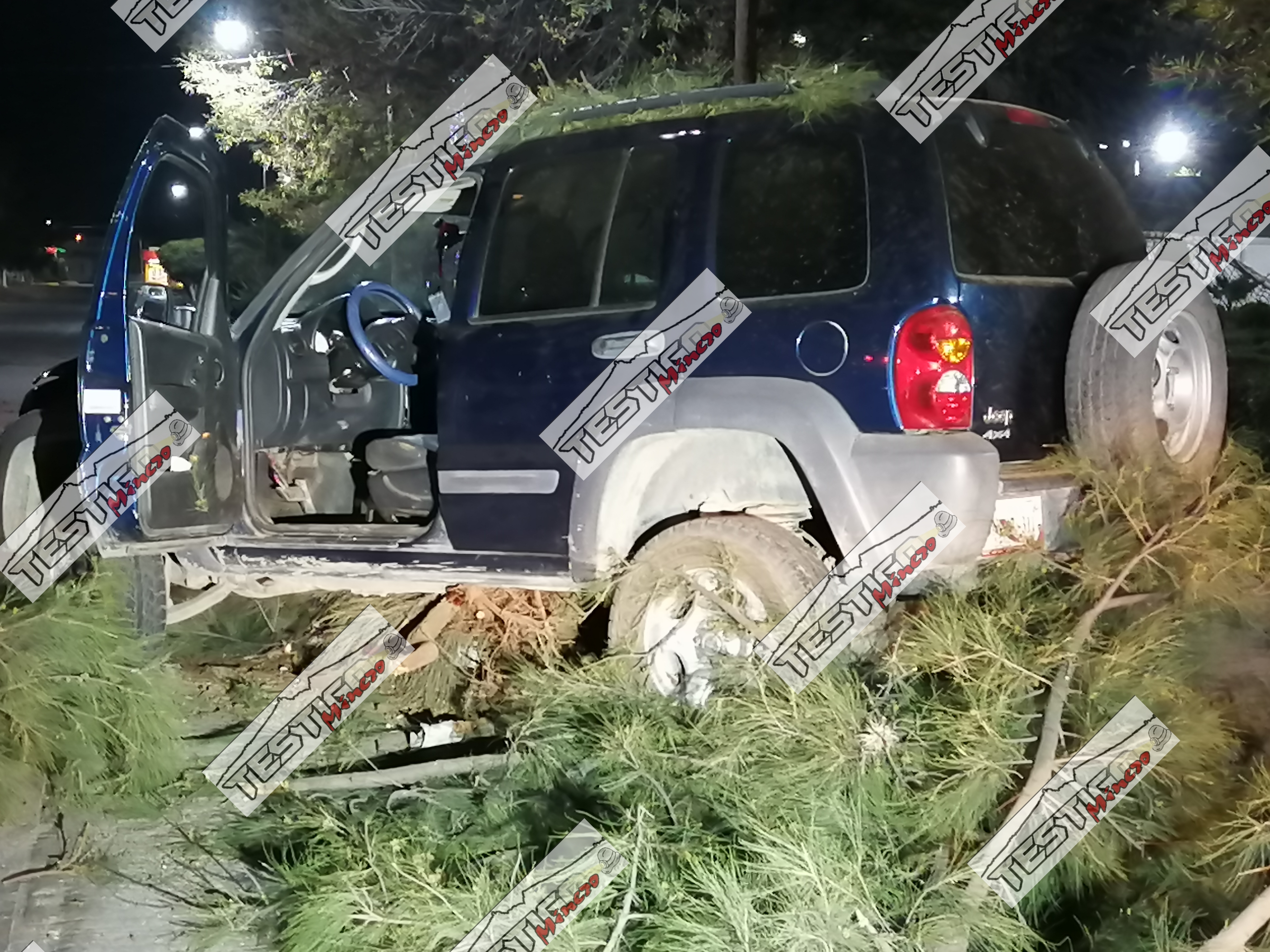 MINERO SE LLEVA ÁRBOLES AL ACCIDENTARSE