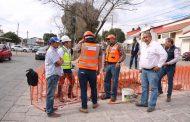 CONTINUAMOS CON LA REHABILITACIÓN DE CAMELLONES EN LA CAPITAL: MEJÍA HARO