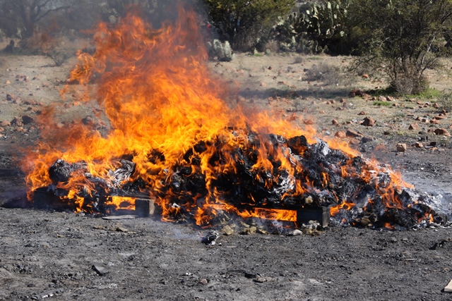 INCINERA  FGR EN ZACATECAS CASI 50 KILOS DE NARCÓTICO Y DESTRUYE OBJETOS DE DELITO