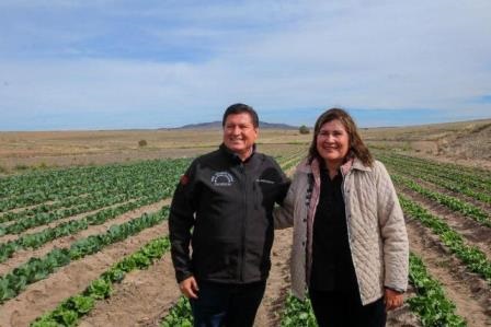 APOYA SECAMPO LA AGRICULTURA AUTOSUSTENTABLE Y ÓRGANICA EN GENARO CODINA