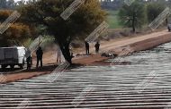12 EJECUTADOS ÉSTE SÁBADO EN ZACATECAS