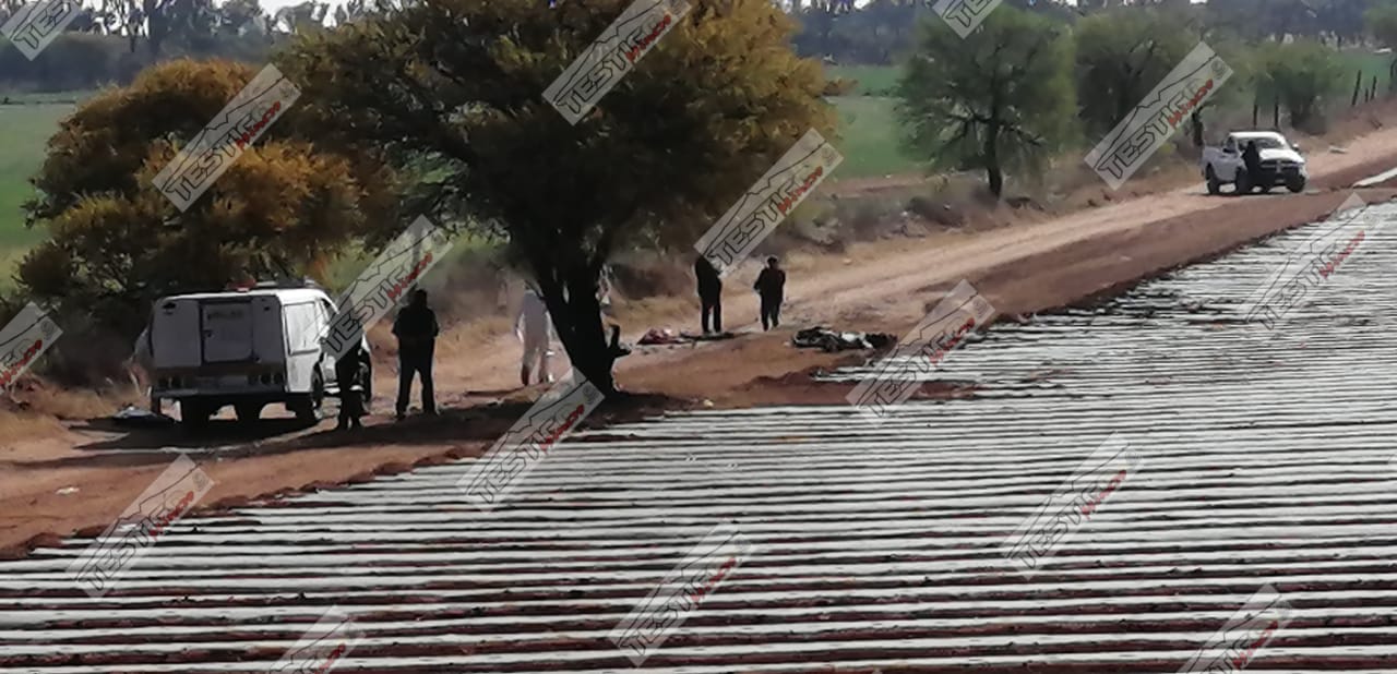 12 EJECUTADOS ÉSTE SÁBADO EN ZACATECAS