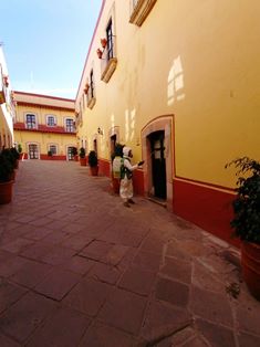DESINFECTAN Y SANITIZAN INSTALACIONES DEL HOTEL MESÓN DE JOBITO