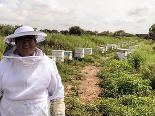 DESTACA ZACATECAS EN APICULTURA; PRODUCE 2 MIL TONELADAS DE MIEL AL AÑO