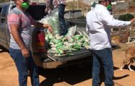 BENEFICIA GOBIERNO ESTATAL A 35 MIL FAMILIAS CON 185 TONELADAS DE FRIJOL POR CONTINGENCIA