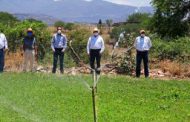 CON OBRAS POR 4.9 MDP, GOBIERNO DE TELLO APOYA A GANADEROS DE JALPA