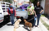 ENTREGA DIF ESTATAL CERCA DE 2 TONELADAS DE ALIMENTO PARA MASCOTAS