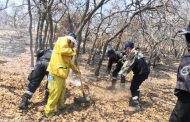 FINALIZA TEMPORADA DE INCENDIOS FORESTALES; AFECTAN MÁS DE 5 MIL 800 HECTÁREAS EN ZACATECAS