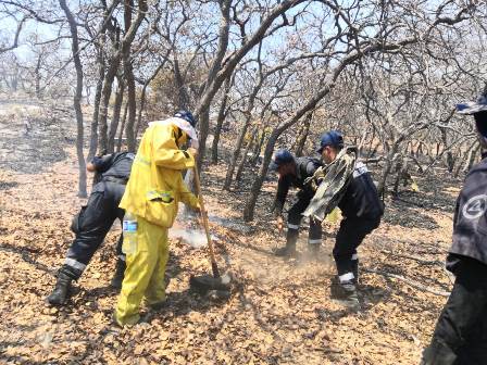 FINALIZA TEMPORADA DE INCENDIOS FORESTALES; AFECTAN MÁS DE 5 MIL 800 HECTÁREAS EN ZACATECAS