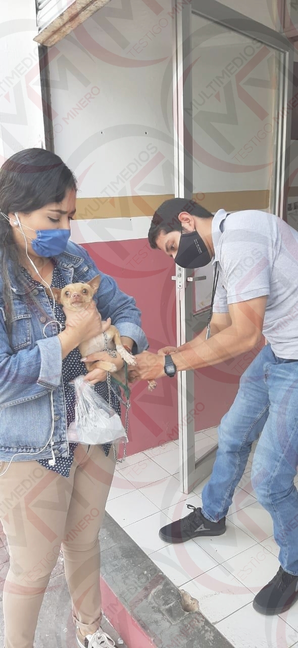 DEL 20 AL 26 DE SEPTIEMBRE, JORNADA NACIONAL ANTIRRÁBICA CANINA Y FELINA