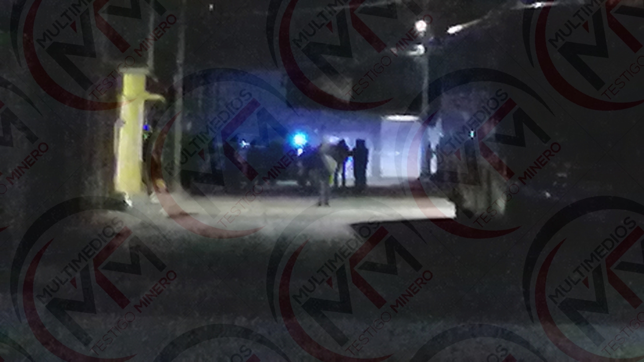 CON 28 DISPAROS BALEAN CASA DE JOVEN MUJER