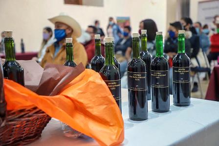 UN ÉXITO, PRIMER ENCUENTRO MUNICIPAL DE PRODUCTORES DE VINO ARTESANAL