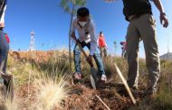 GOBIERNO ESTATAL Y CONAFOR EMPRENDEN CAMPAÑA DE DONACIÓN DE ÁRBOLES