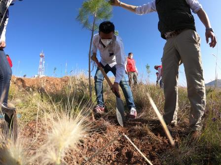 GOBIERNO ESTATAL Y CONAFOR EMPRENDEN CAMPAÑA DE DONACIÓN DE ÁRBOLES