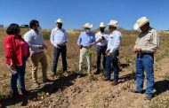 INVERSIÓN SUPERIOR A LOS 20 MDP IMPULSA EL CAMPO DE SOMBRERETE