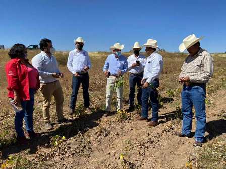 INVERSIÓN SUPERIOR A LOS 20 MDP IMPULSA EL CAMPO DE SOMBRERETE