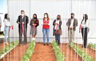 GOBIERNO ESTATAL REHABILITA ESPACIOS EDUCATIVOS DE PLANTELES DEL CECYTEZ EN FRESNILLO
