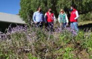 INSTALAN EN ECOPARQUE JARDÍN POLINIZADOR PARA CONSERVACIÓN DE MARIPOSA MONARCA EN SU RUTA MIGRATORIA