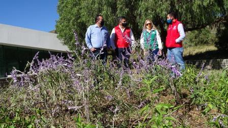 INSTALAN EN ECOPARQUE JARDÍN POLINIZADOR PARA CONSERVACIÓN DE MARIPOSA MONARCA EN SU RUTA MIGRATORIA