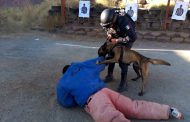 SECRETARÍA DE SEGURIDAD CAPACITA EN TÉCNICAS Y TÁCTICAS POLICIALES A ELEMENTOS DE LA UNIDAD CANINA K-9