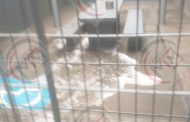 DURANTE UNA SEMANA Y BAJO CONDICIONES RIGUROSAS DE SANIDAD, SSP REANUDARÁ VISITAS A CENTROS PENITENCIARIOS