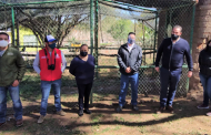 Fresnillo plc protege la biodiversidad en su Unidad de Manejo para la Conservación de la Vida Silvestre.