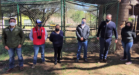 Fresnillo plc protege la biodiversidad en su Unidad de Manejo para la Conservación de la Vida Silvestre.