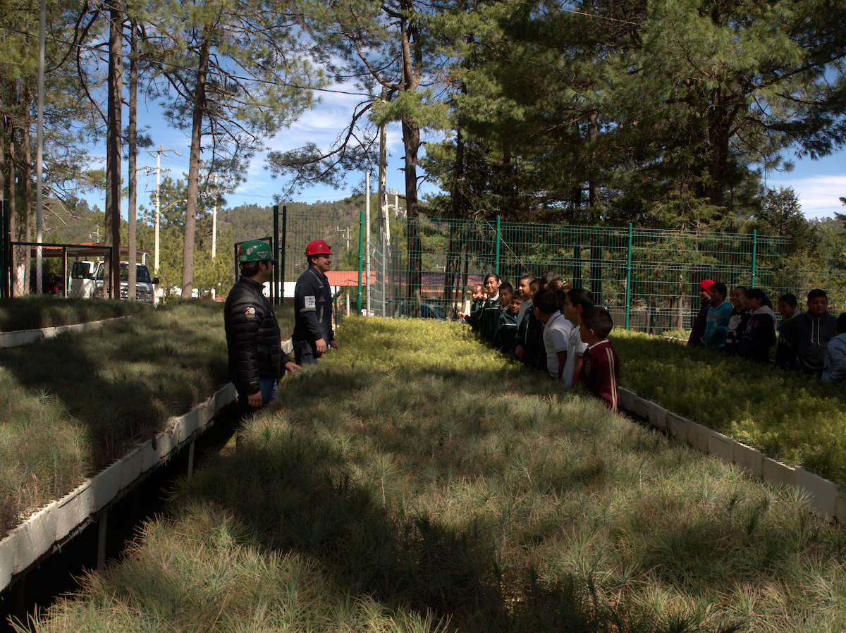 Fresnillo plc impulsa la conservación de los bosques