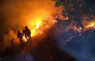 REPORTA PC ESTATAL 479 INCENDIOS FORESTALES EN 33 MUNICIPIOS