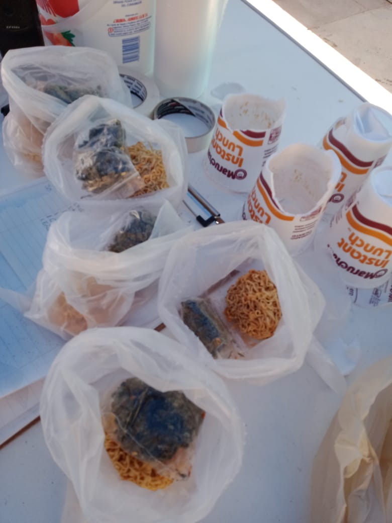 PEP DETUVO A MUJER QUE PRETENDÍA INGRESAR PROBABLE MARIHUANA AL CERERESO VARONIL DE CIENEGUILLAS