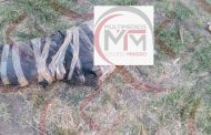SIN IDENTIFICAR EMBOLSADO DE ALTAMIRA.