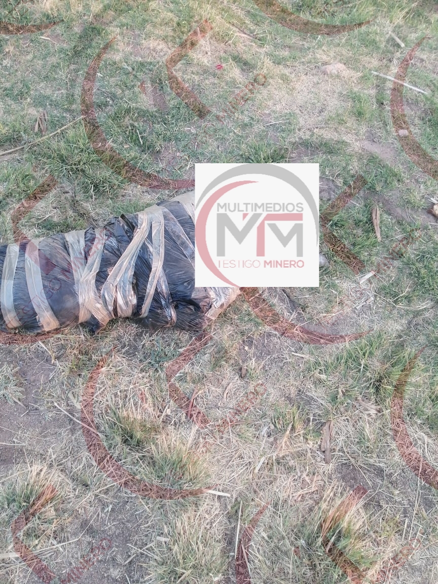 SIN IDENTIFICAR EMBOLSADO DE ALTAMIRA.