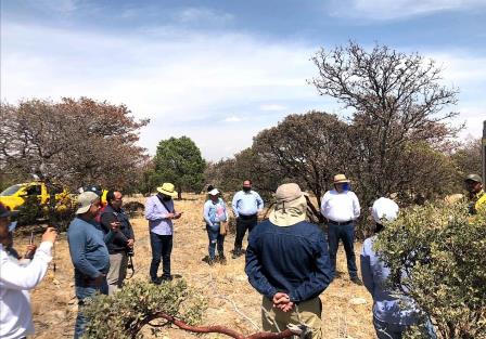 RECONOCE GOBIERNO ESTATAL LABOR DE COMBATIENTES DE INCENDIO EN SIERRA FRÍA