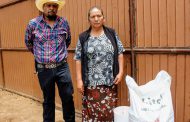 SE ENTREGAN AVES DE TRASPATIO EN MÉXICO NUEVO