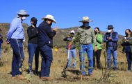 Llama Gobernador David Monreal a implementar una campaña permanente de reforestación en Zacatecas